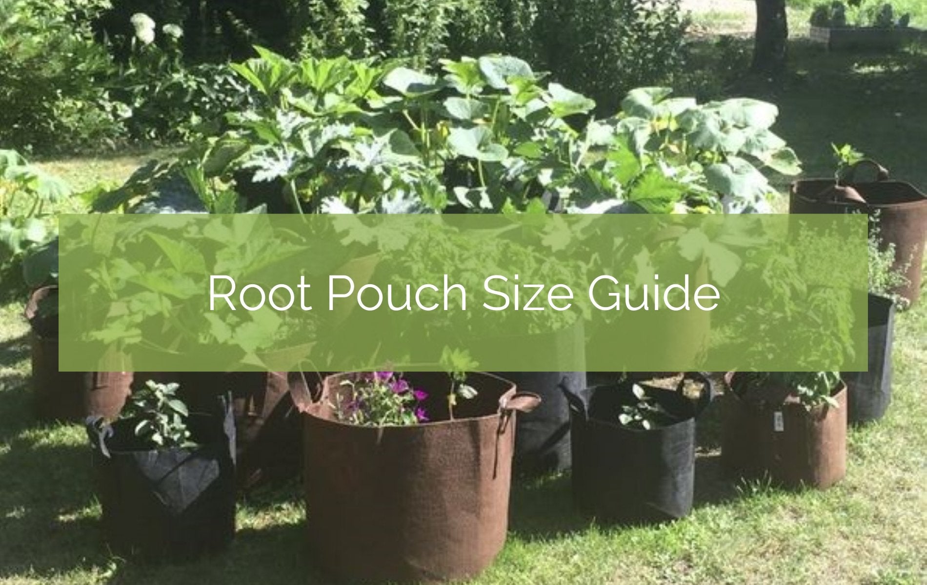 What makes Root Pouch grow bags different from the rest? – Up On The Rooftop