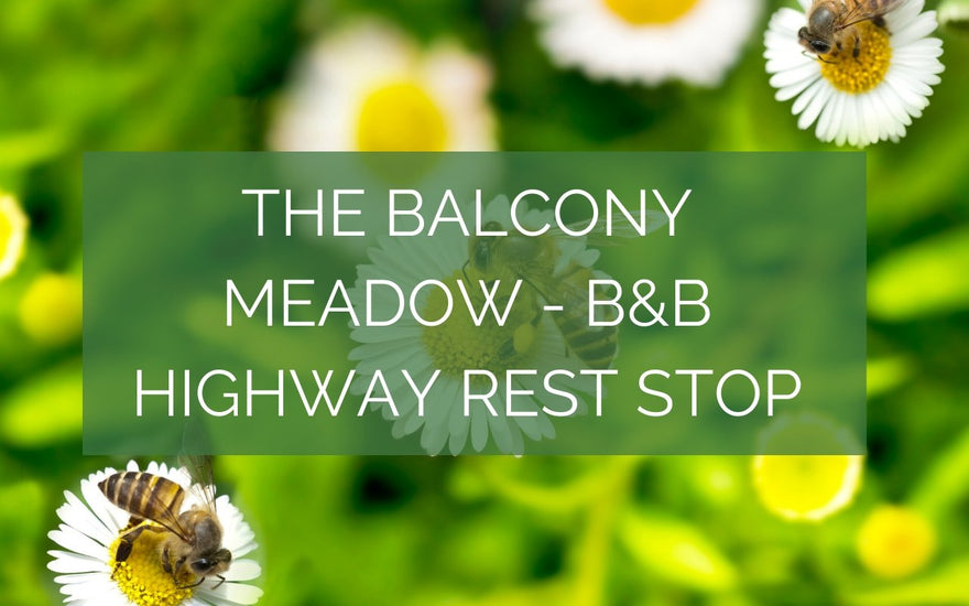 The Balcony Meadow - B&B Highway Rest-Stop