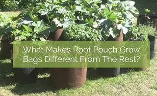 The Best Grow Bag Root Pouch