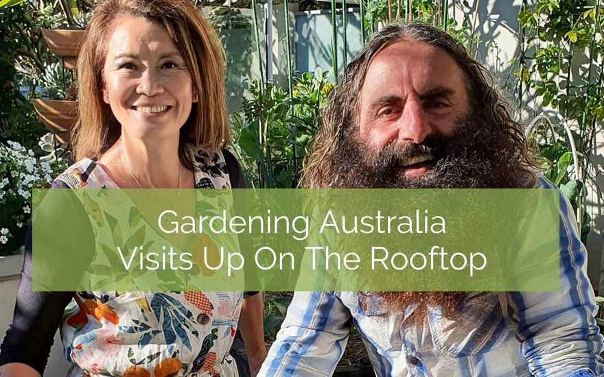 Gardening Australia Visits our Balcony Garden