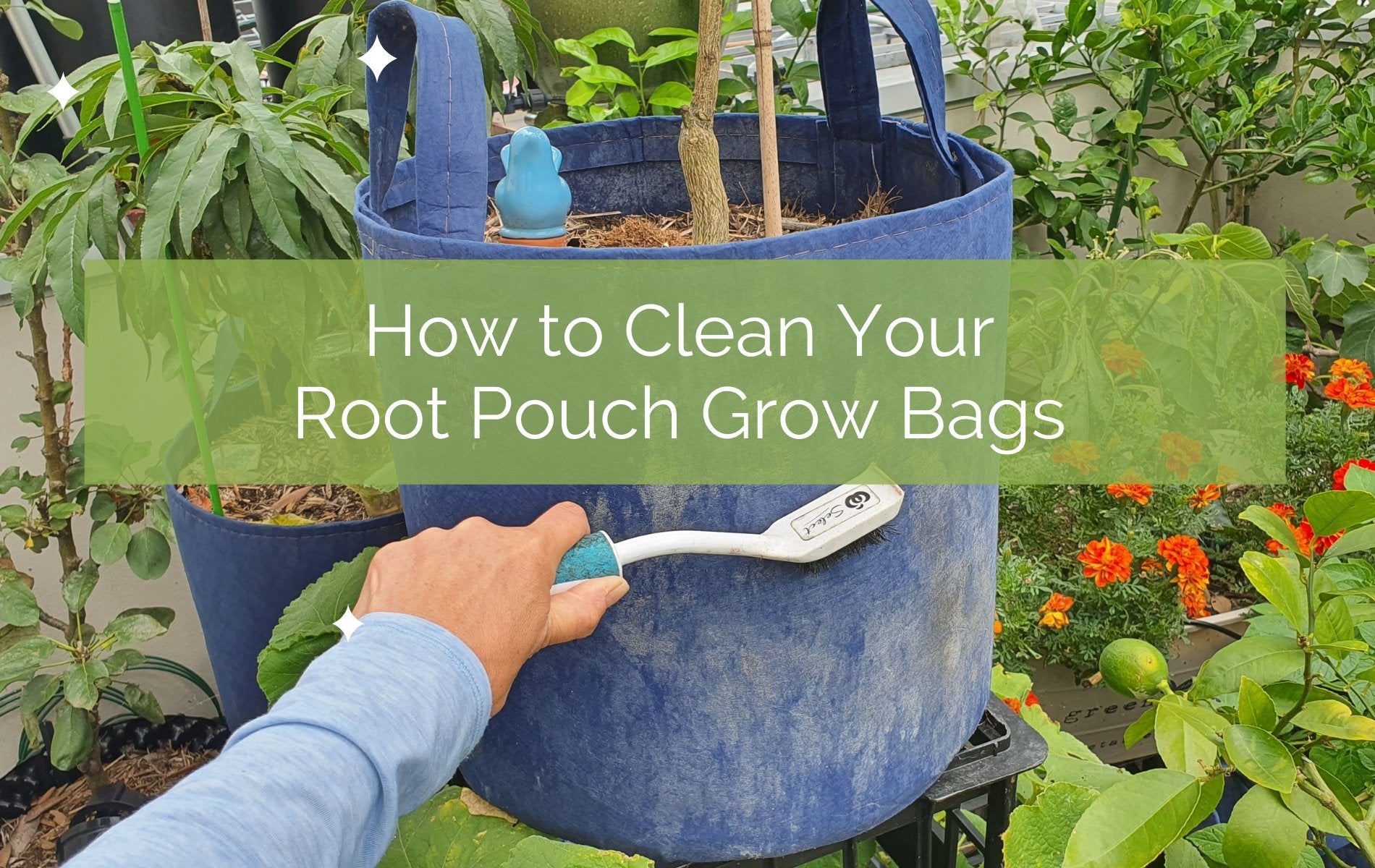 How to Clean Grow Bags  