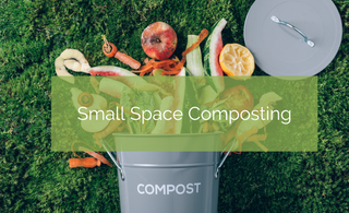 Your Guide to Apartment Composting