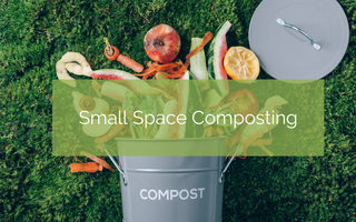 Your Guide to Apartment Composting