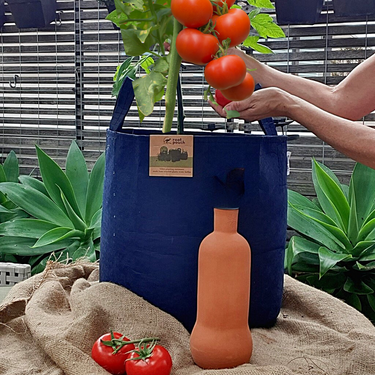 Grow Tomatoes Pack Seasonal Edition