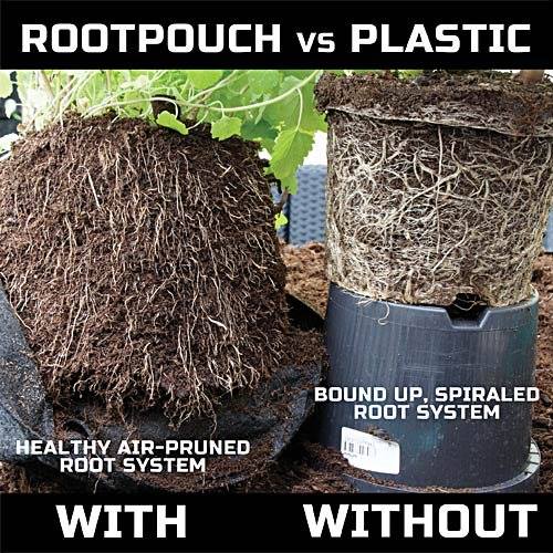 What makes Root Pouch grow bags different from the rest? – Up On The Rooftop