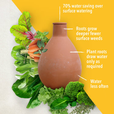 Small Waterpot Olla Benefits